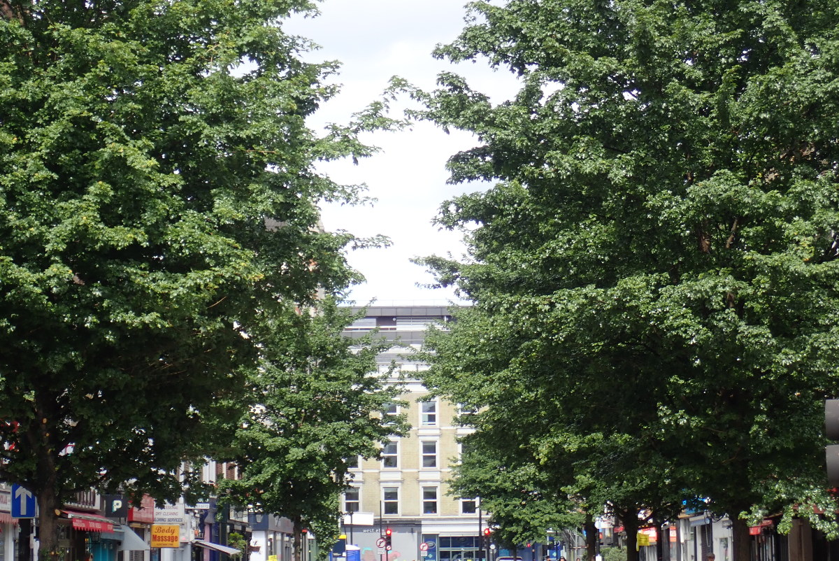 OLYMPUS DIGITAL CAMERA